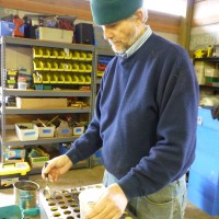 Volunteer helps sow native seeds into tubes for planting