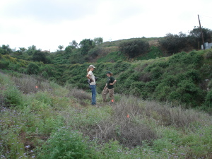 CNLM staff assess the progress of an on-going restoration effort