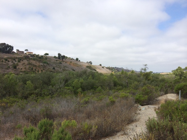 Rancho Del Oro