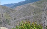 IMG_6157-tn