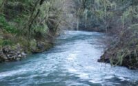 Molalla River cold water refugia-tn