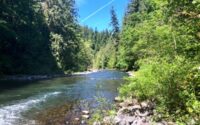 Molalla River-tn