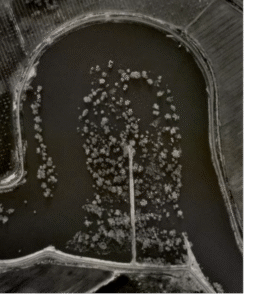 Aerial image of flood event on the Oxbow Preserve in1997