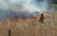 Prescribed Fire