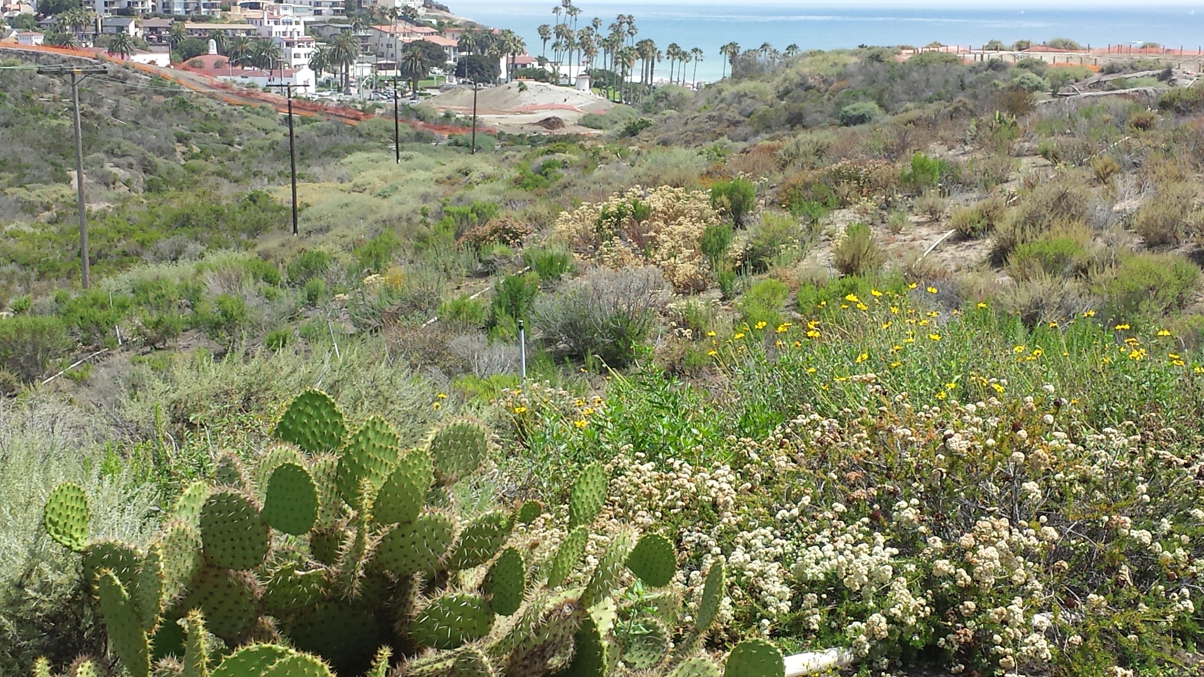 Marblehead Coastal Preserve