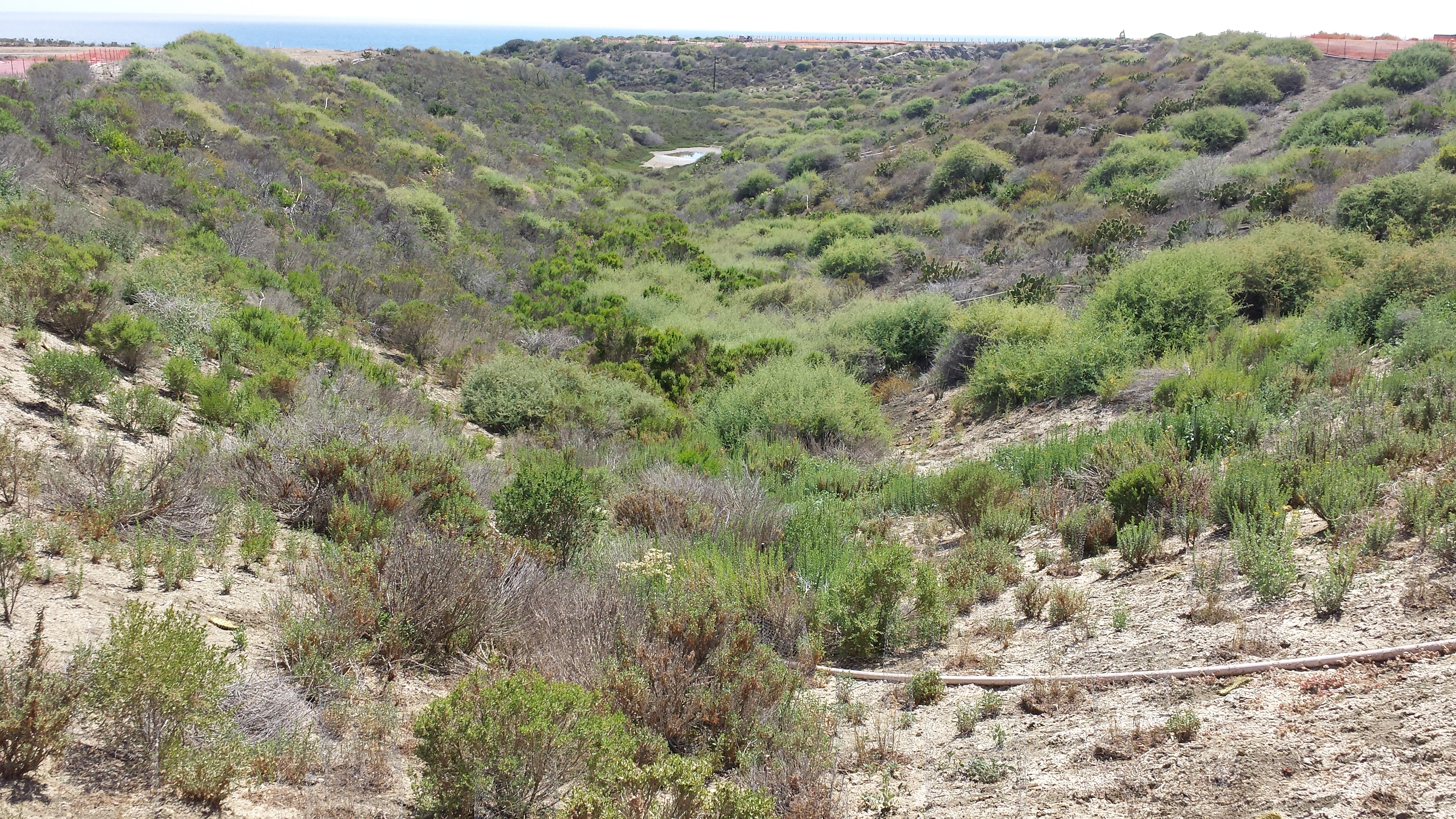 Marblehead Coastal Preserve