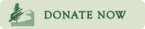 donatenow