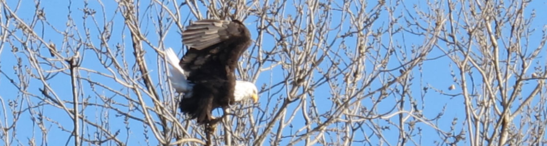 The Evolution Of Top Free MMORPG Games